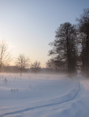 Zimą w lutym 2010